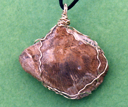 Fossil Jewelry