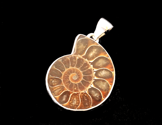 Ammonite Pendant