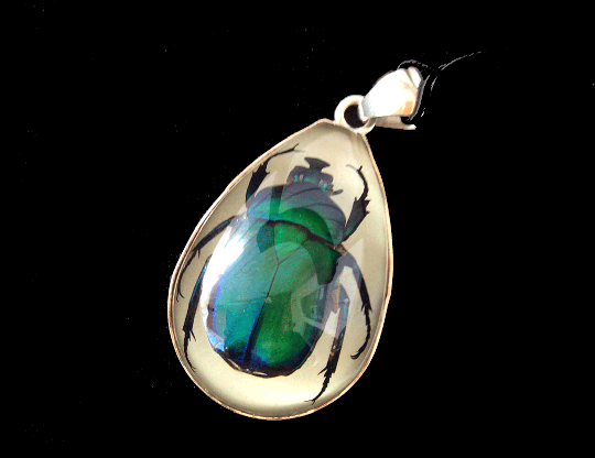 Resin Beetle Pendant