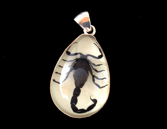 Scorpion Pendant