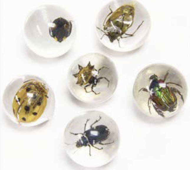 Bugs in Acrylic Marble