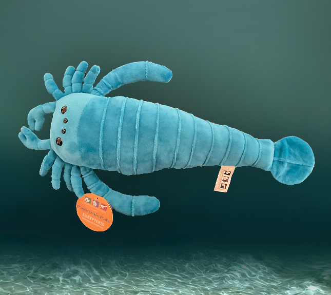 Eurypterid